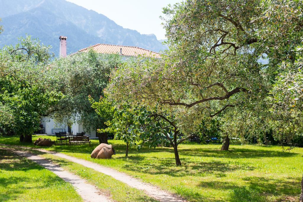 Anastasia Apartments Skala Potamia  Buitenkant foto