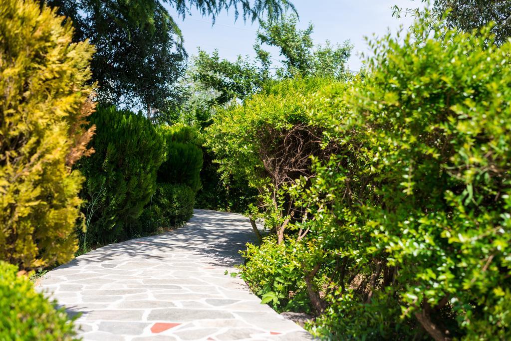 Anastasia Apartments Skala Potamia  Buitenkant foto
